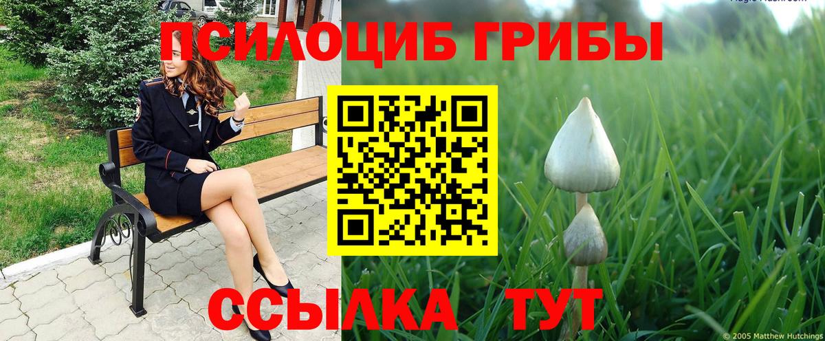 Малоярославец  Псилоцибиновые грибы мицелий  Псилоцибиновые грибы Magic Shrooms  Вход с VPN 